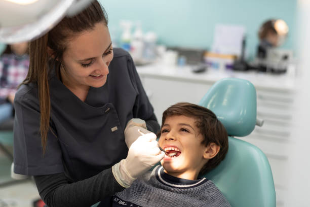 Best Weekend Emergency Dentist in Carrier Mls, IL