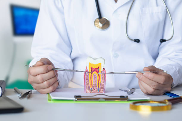 Best Urgent Dental Care for Toothache in Carrier Mls, IL